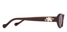 Load image into Gallery viewer, Brown Round Full Rim Women Sunglasses by Lenskart-224476