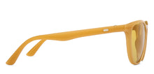 Load image into Gallery viewer, Brown Round Full Rim Unisex Sunglasses by Vincent Chase Online-207936