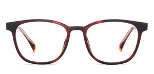 Tortoise Wayfarer Full Rim Unisex Eyeglasses by John Jacobs-218232