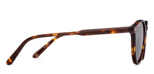 Load image into Gallery viewer, Tortoise Round Full Rim Unisex Sunglasses by John Jacobs-220521
