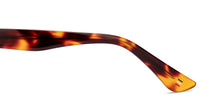 Load image into Gallery viewer, Tortoise Round Full Rim Unisex Eyeglasses by Le Petit Lunetier-216936