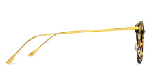 Load image into Gallery viewer, Brown Round Full Rim Unisex Eyeglasses by John Jacobs Computer Glasses-142173