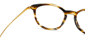 Brown Round Full Rim Unisex Eyeglasses by John Jacobs Computer Glasses-142173