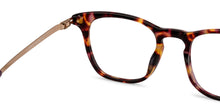 Load image into Gallery viewer, Brown Wayfarer Full Rim Unisex Eyeglasses by John Jacobs Computer Glasses-141781