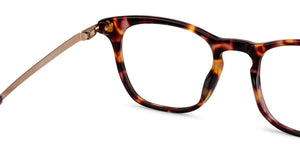 Brown Wayfarer Full Rim Unisex Eyeglasses by John Jacobs Computer Glasses-141781