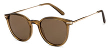 Load image into Gallery viewer, Brown Cat Eye Full Rim Women Sunglasses by John Jacobs-152271