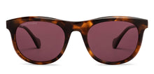 Load image into Gallery viewer, Tortoise Wayfarer Full Rim Unisex Sunglasses by John Jacobs-208184