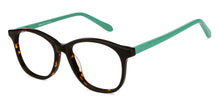 Load image into Gallery viewer, Tortoise Wayfarer Full Rim Unisex Eyeglasses by Vincent Chase Essentials-124406